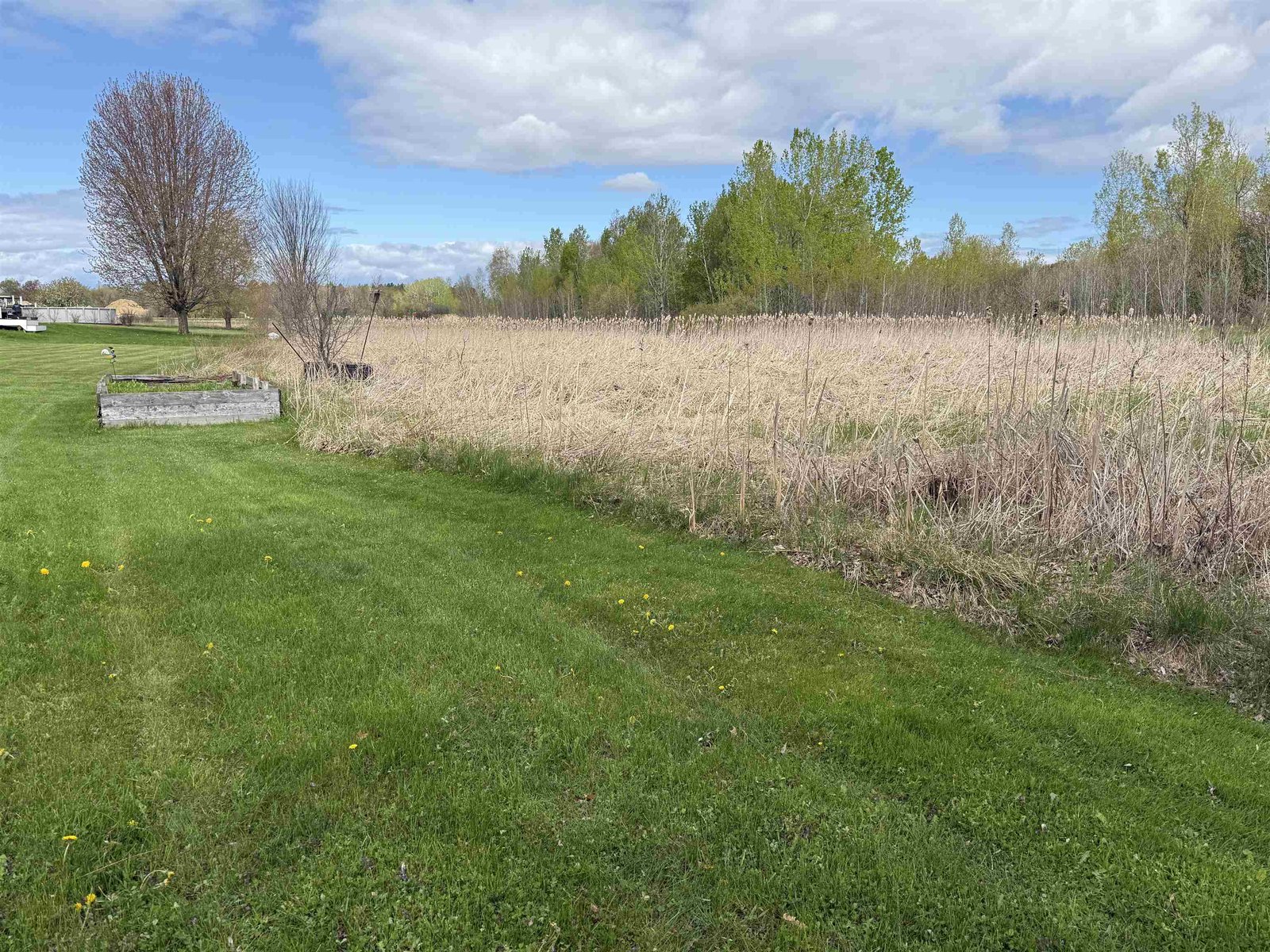 TRANQUIL BACK YARD COMMON LAND AREA