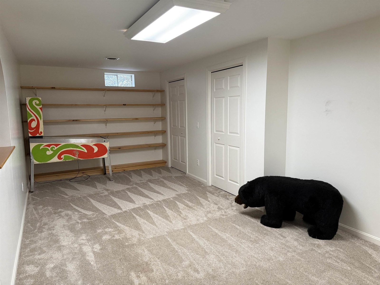 EXTRA ROOM IN BASEMENT AREA, W/ NEW CARPET