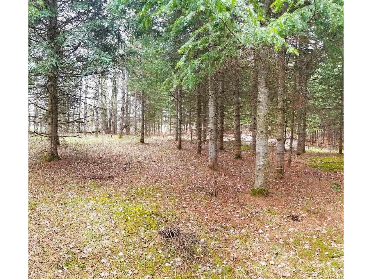 0 Town Hill Road Wolcott, Vermont Sold in 2020