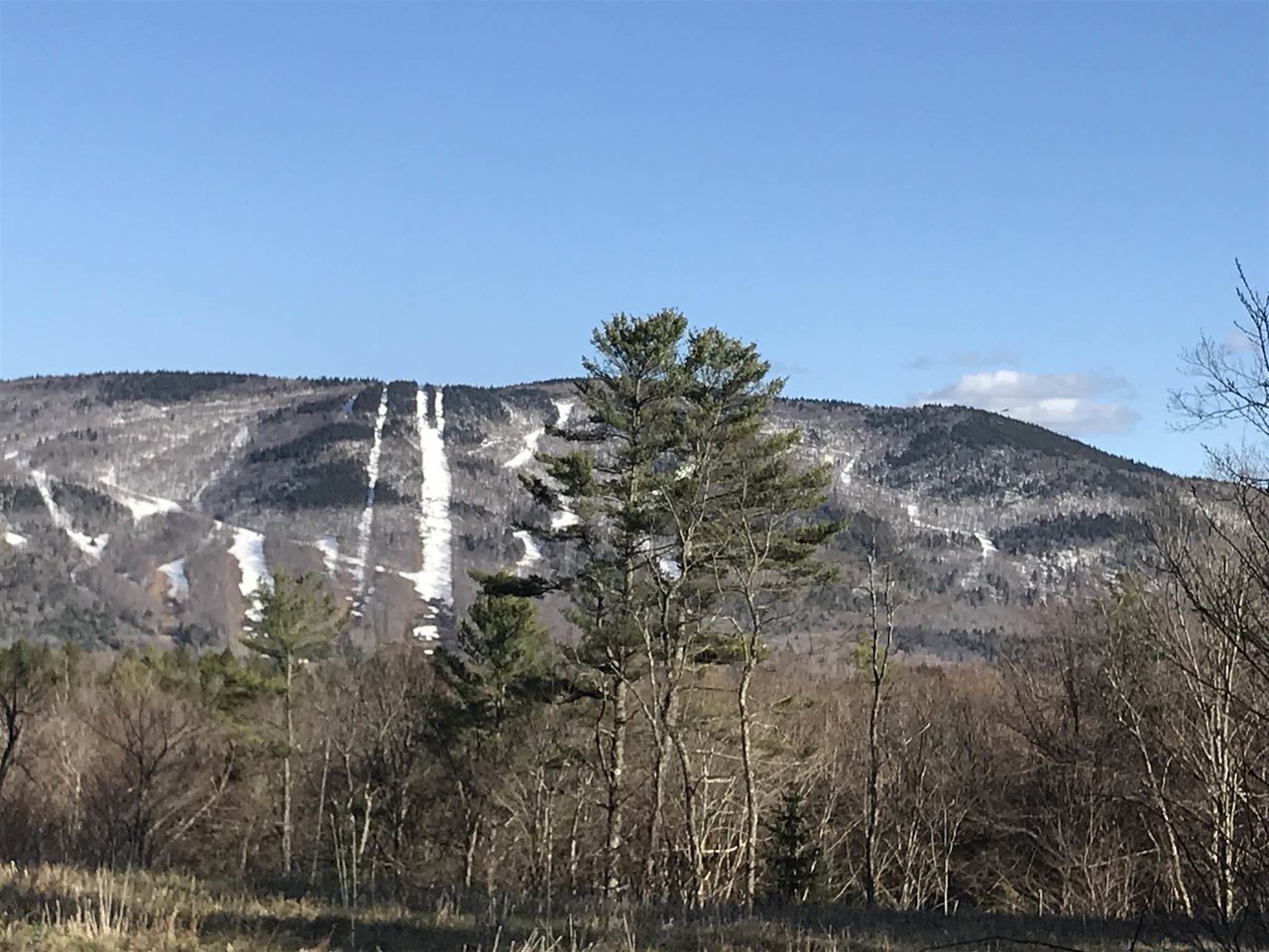 Londonderry Vt Zip at Tara Frank blog