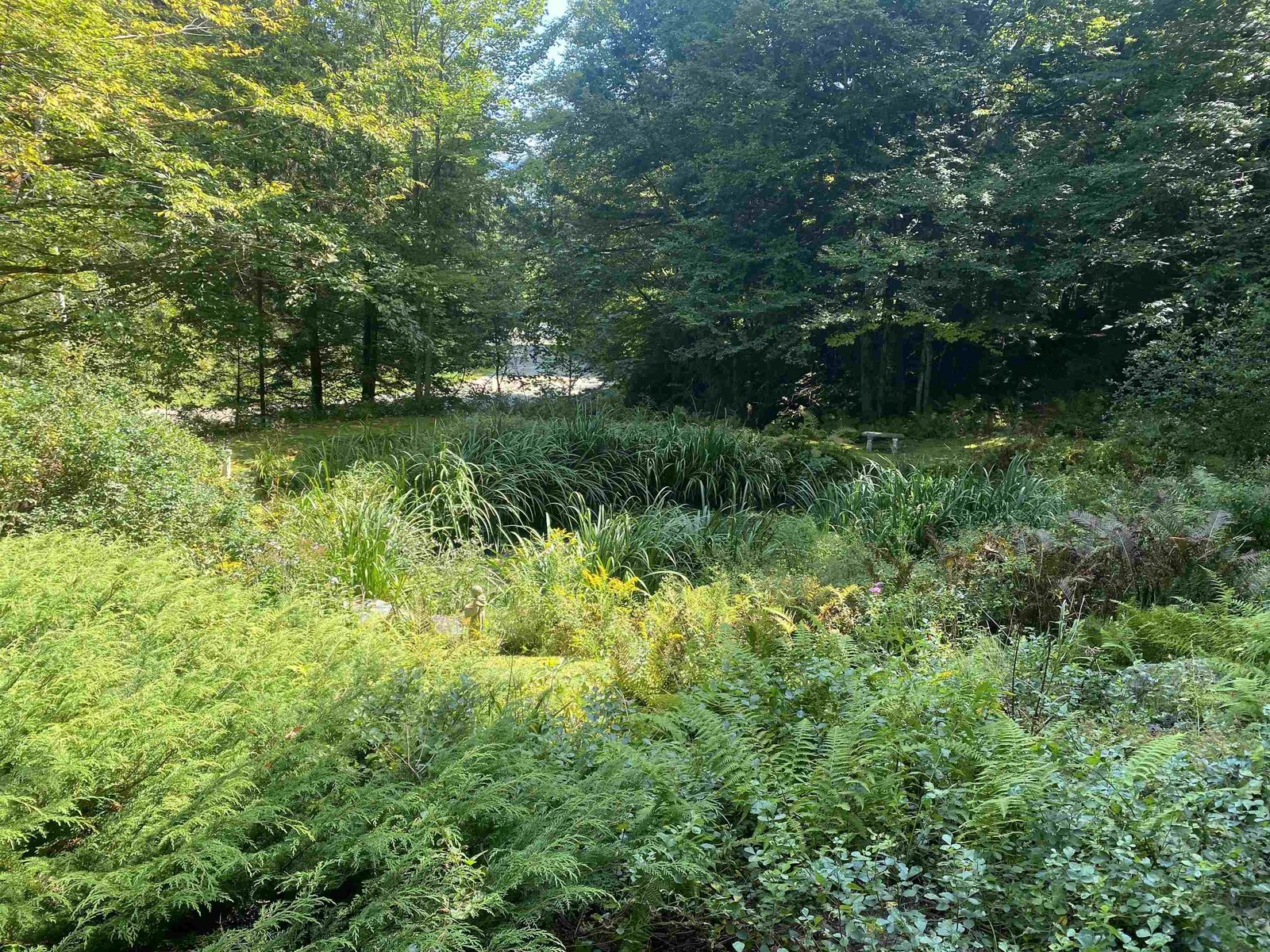 482 Long Branch Circle