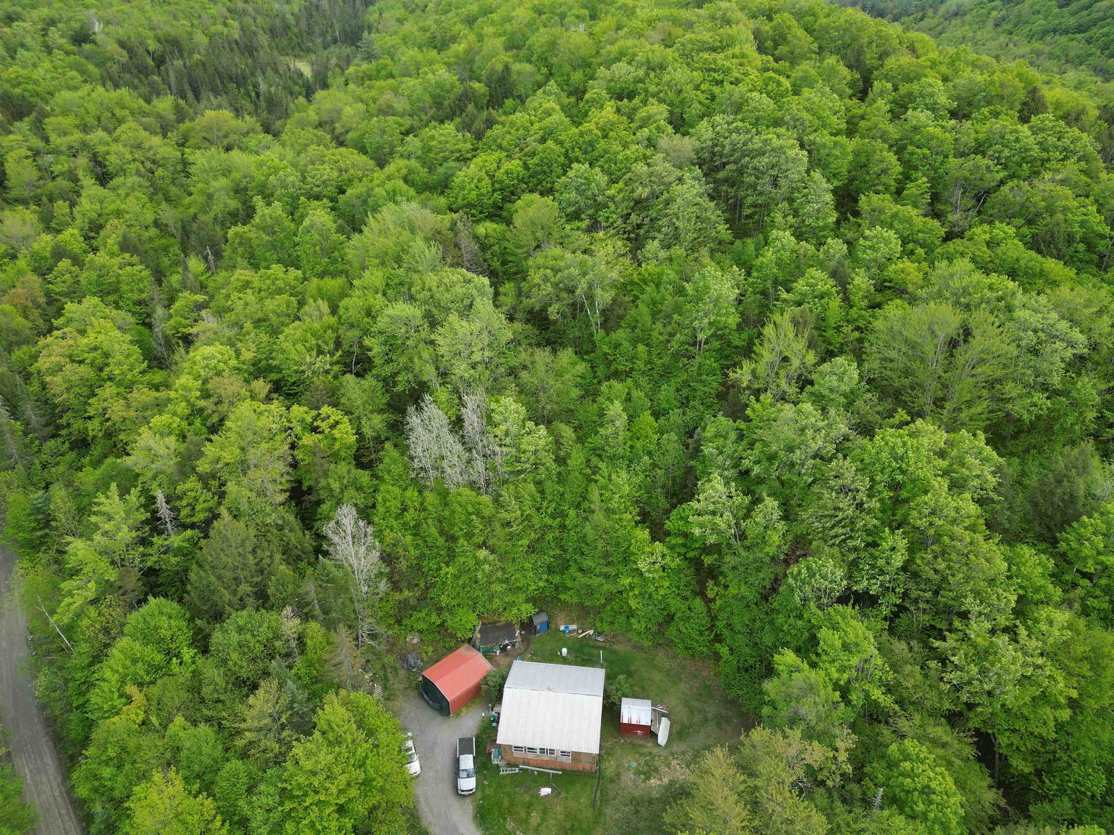 4823 Swamp Road