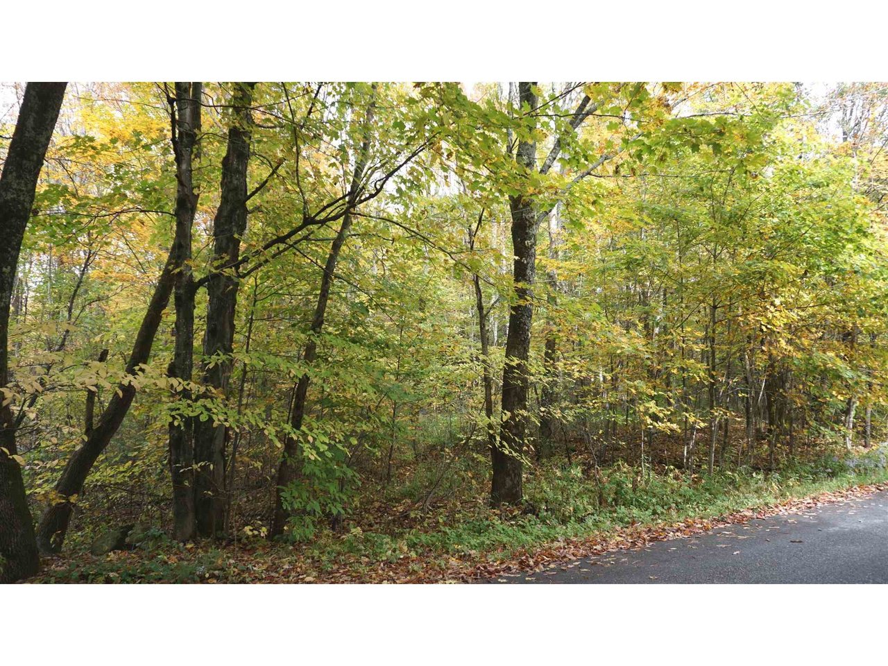 0 CCC Road Shrewsbury, Vermont Sold in 2021