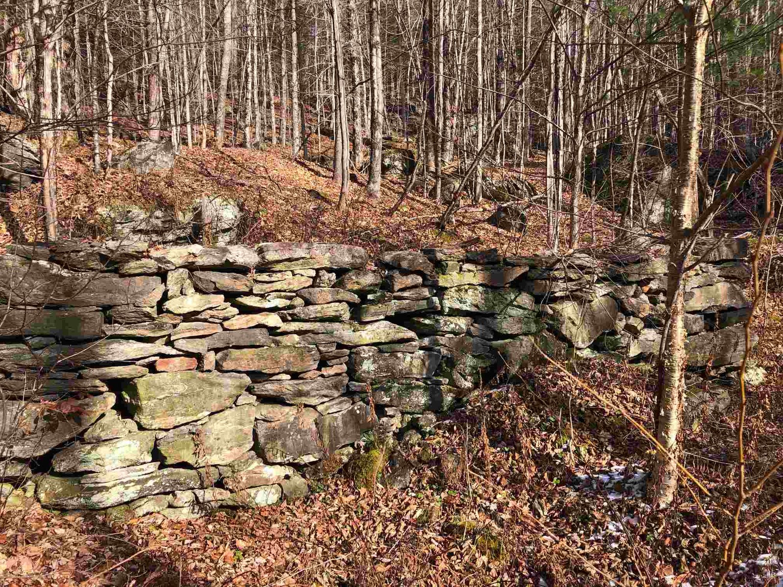 326 John Birch Readsboro, Vermont