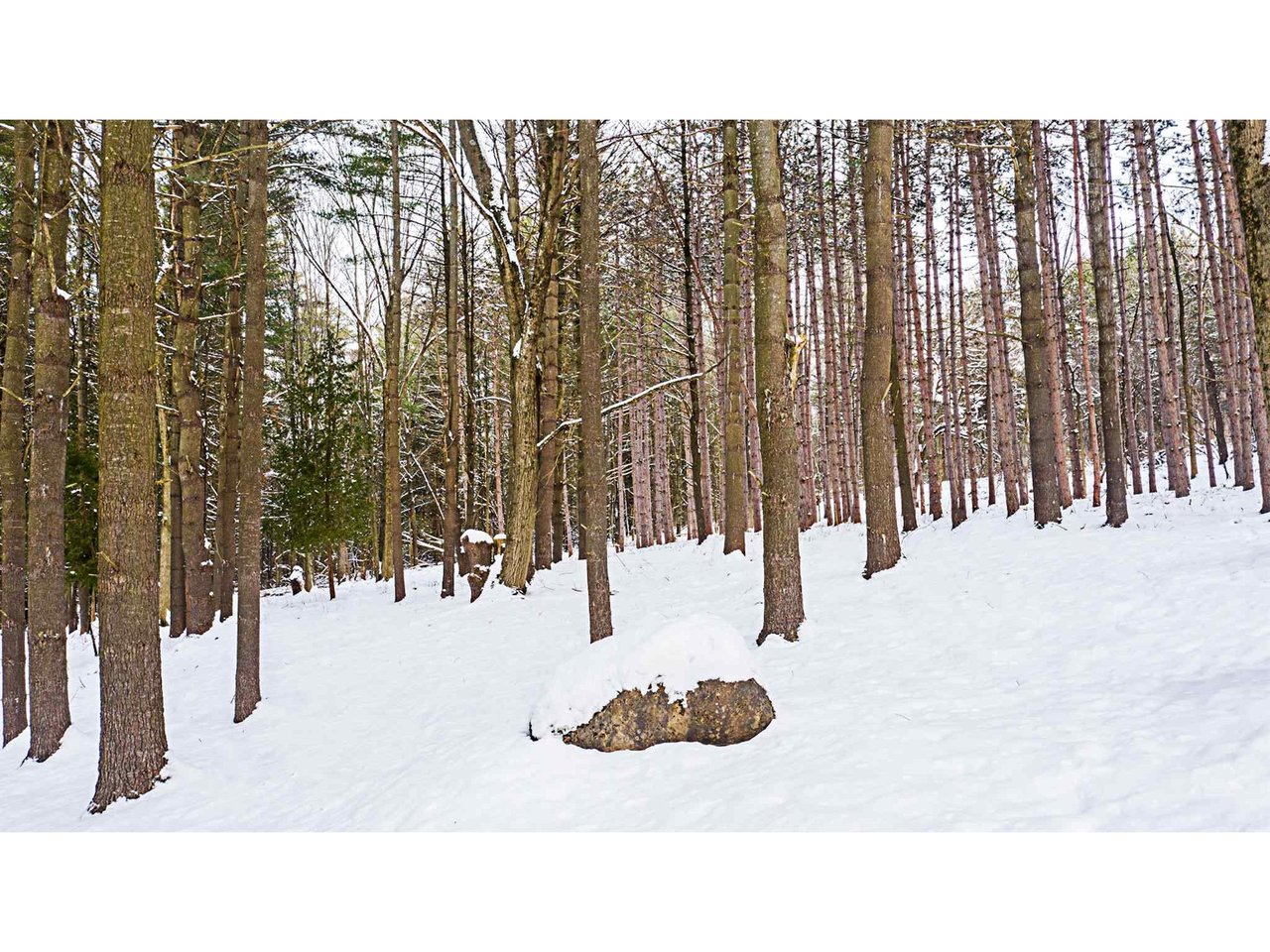 Sold property in Shelburne Sold property in Shelburne