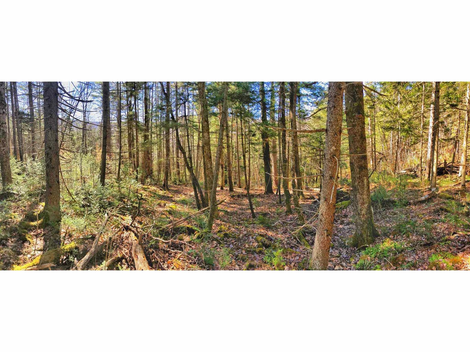 1765 VT Rte 125 Hancock, Vermont Sold in 2022