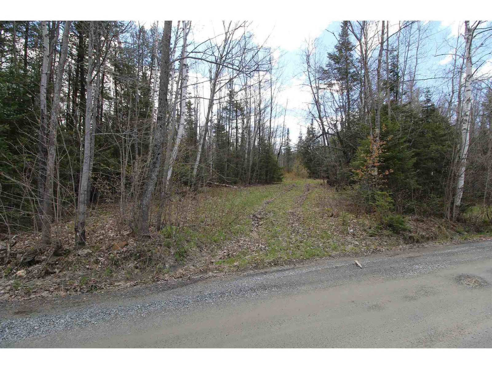 0 Martins Pond Lane Peacham, Vermont