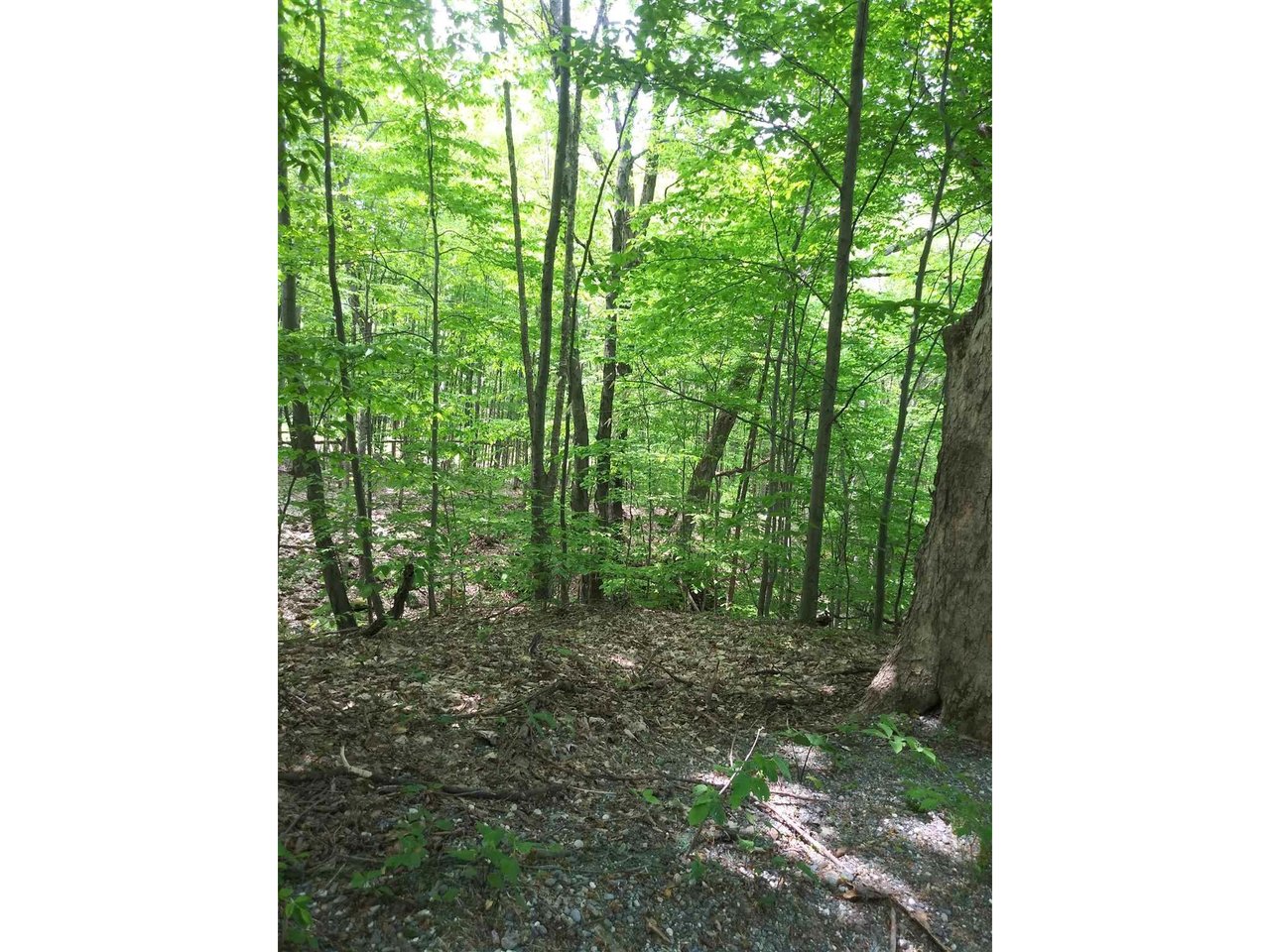 Sold property in Hinesburg Sold property in Hinesburg