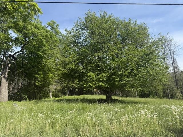 487 Country Club Road