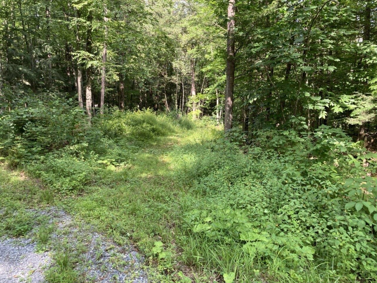 Sold property in Middlebury Sold property in Middlebury