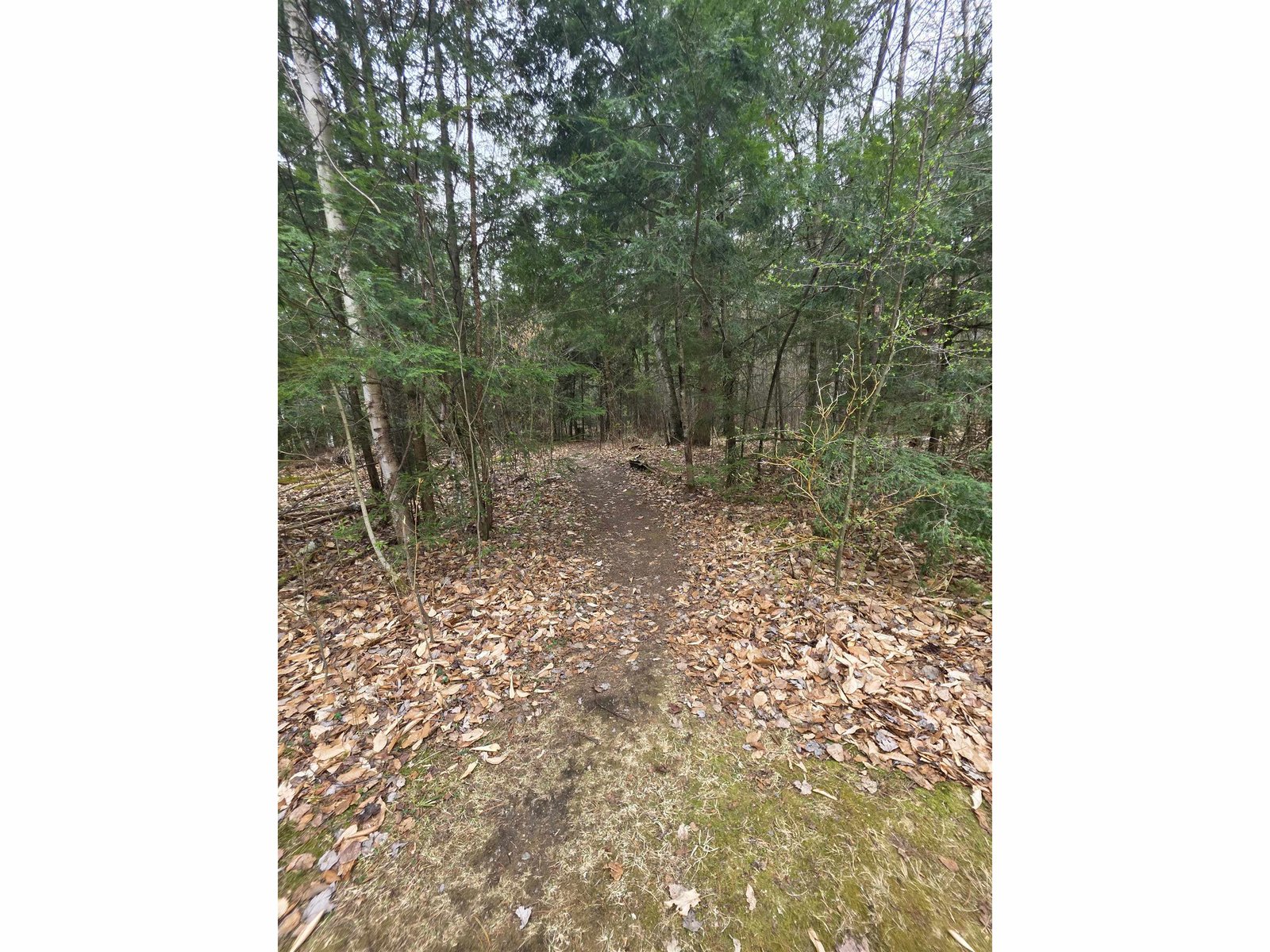 walking path