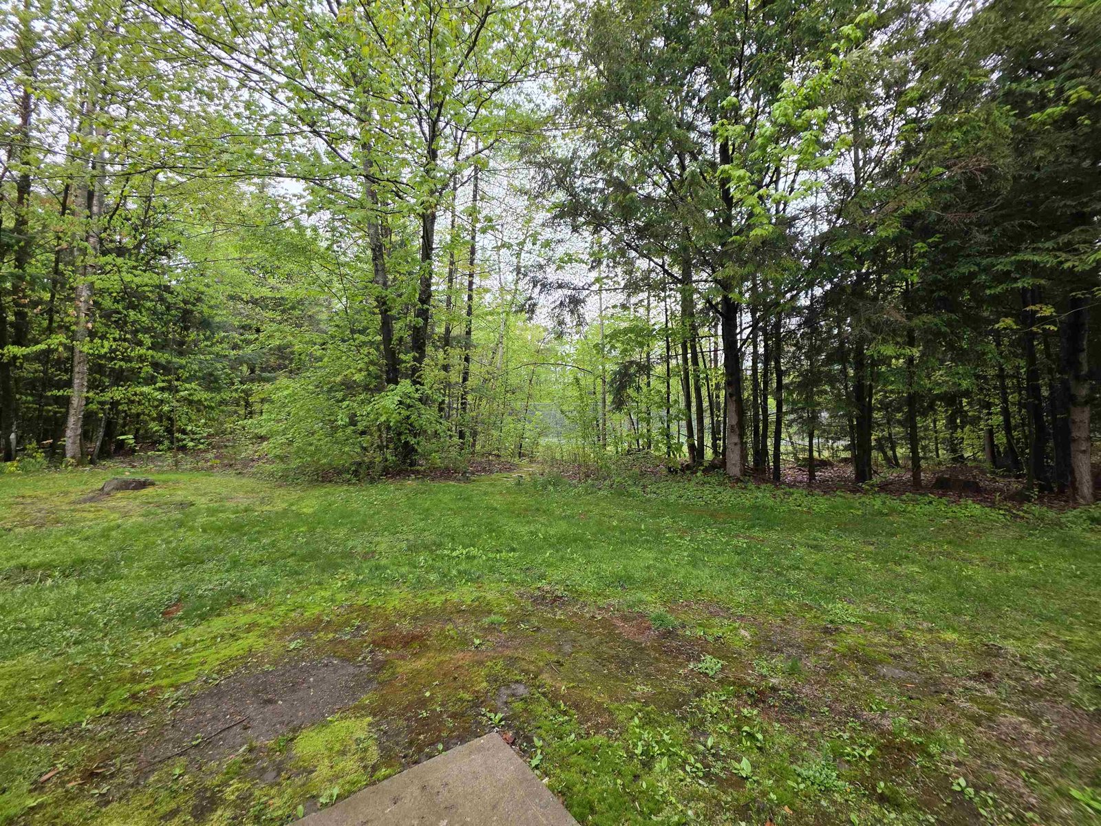 48C Starbird Road