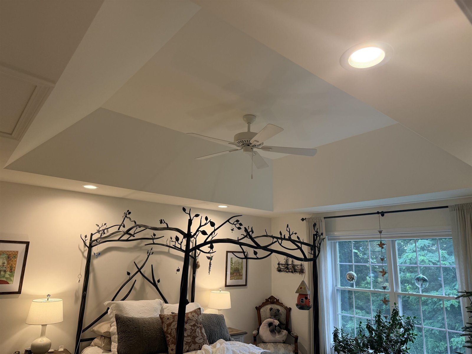 Tray ceiling in Primary BR
