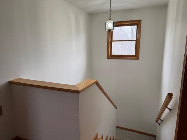 49 Kirby Road
