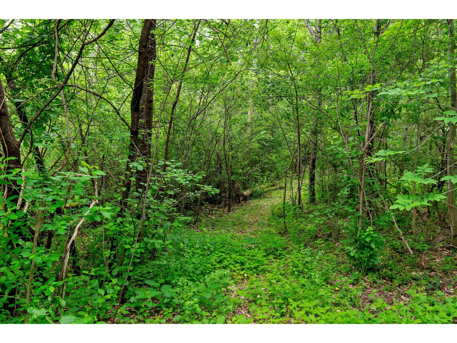 Trails on Property