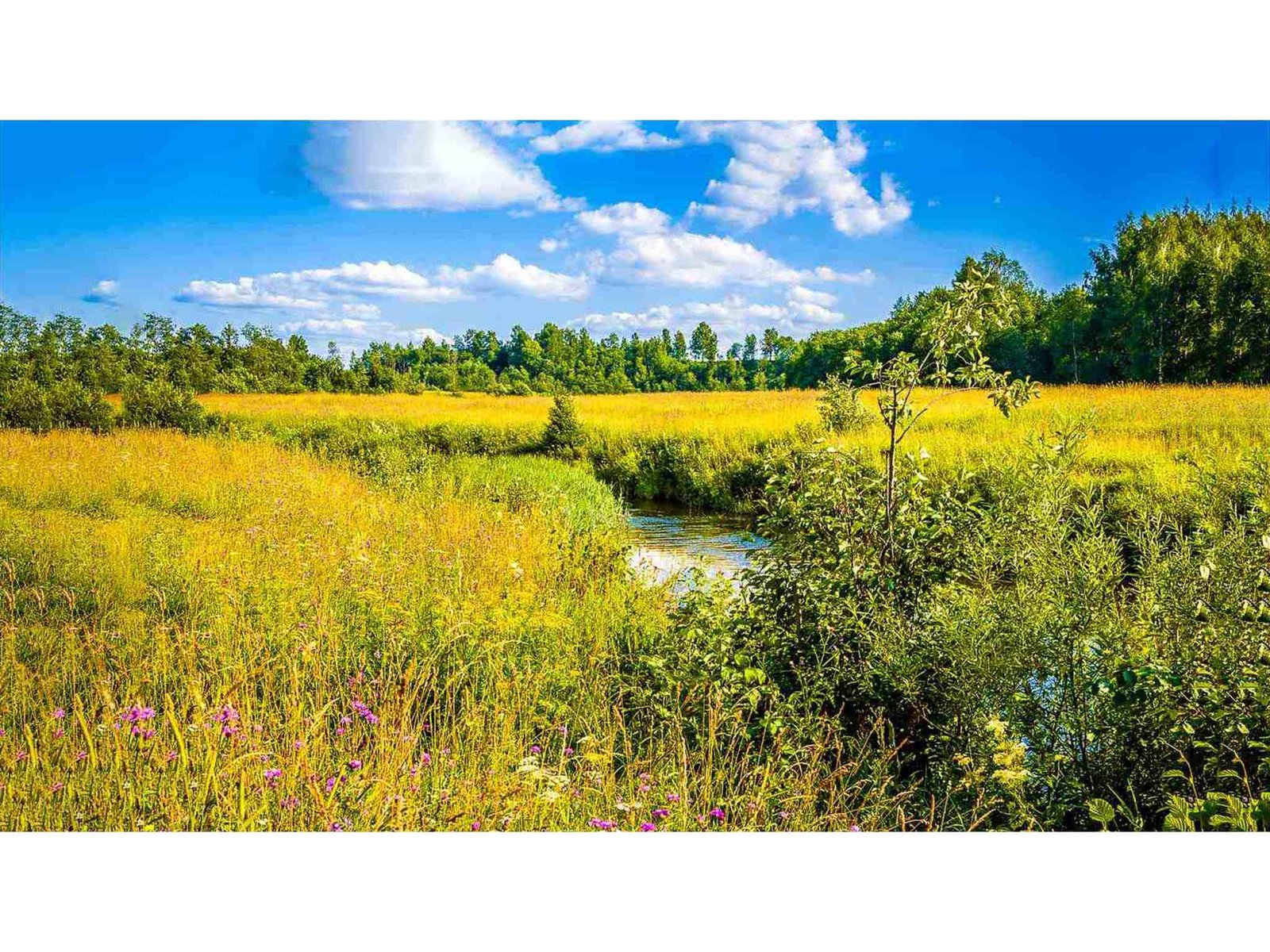 4905 Big Hollow Road