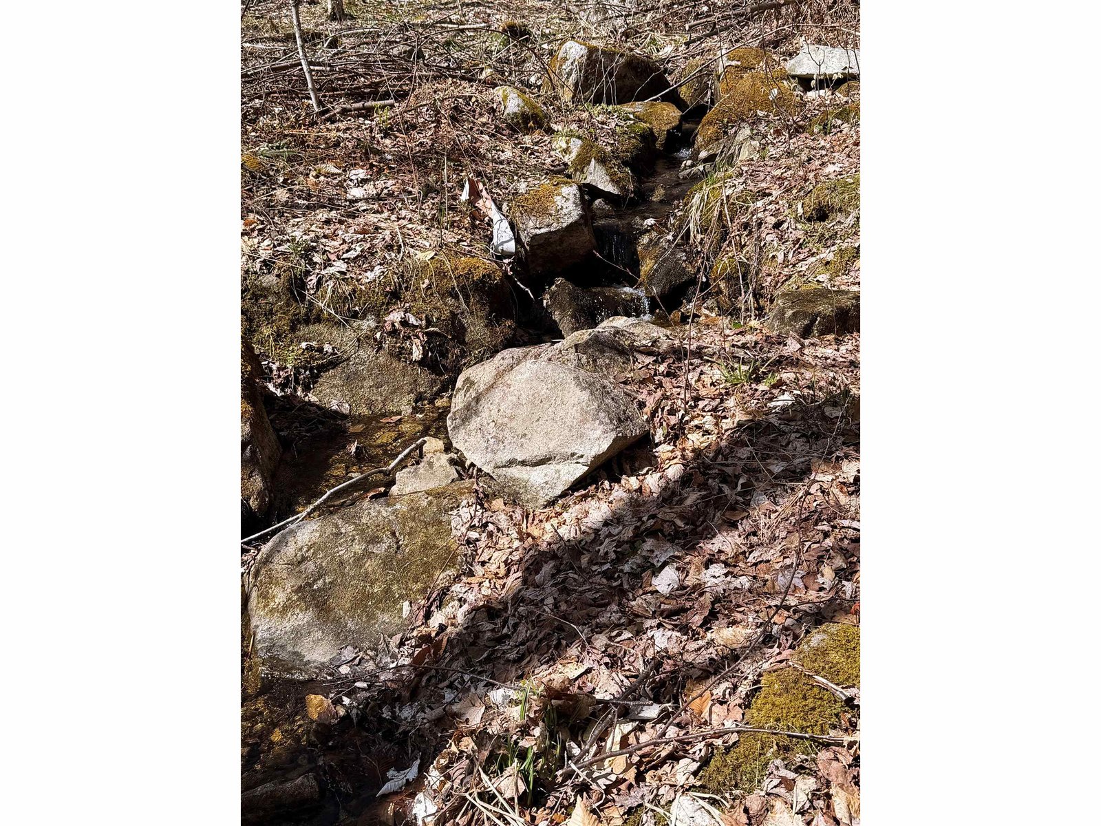 493 Wheeler Mountain Road