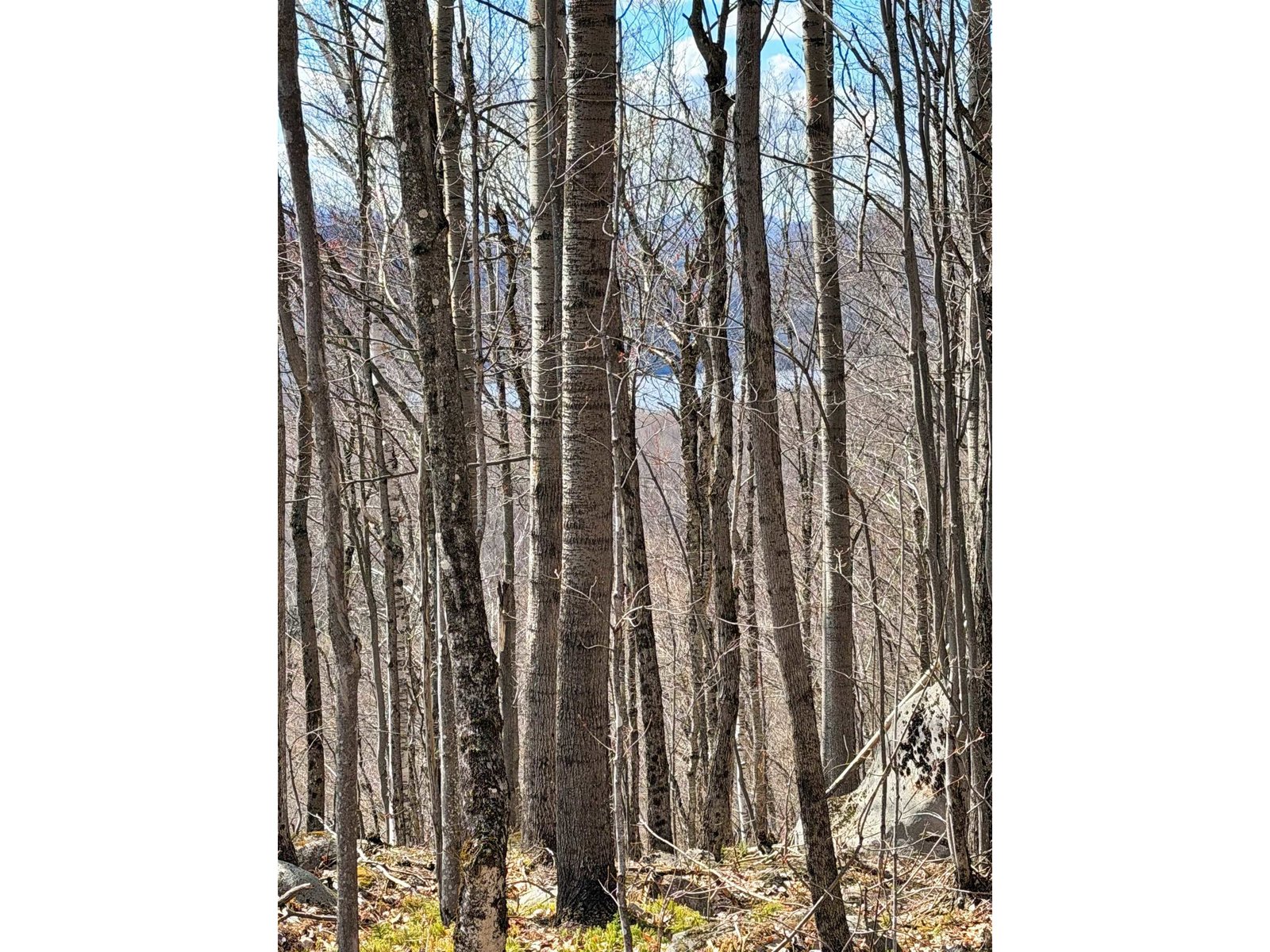 493 Wheeler Mountain Road