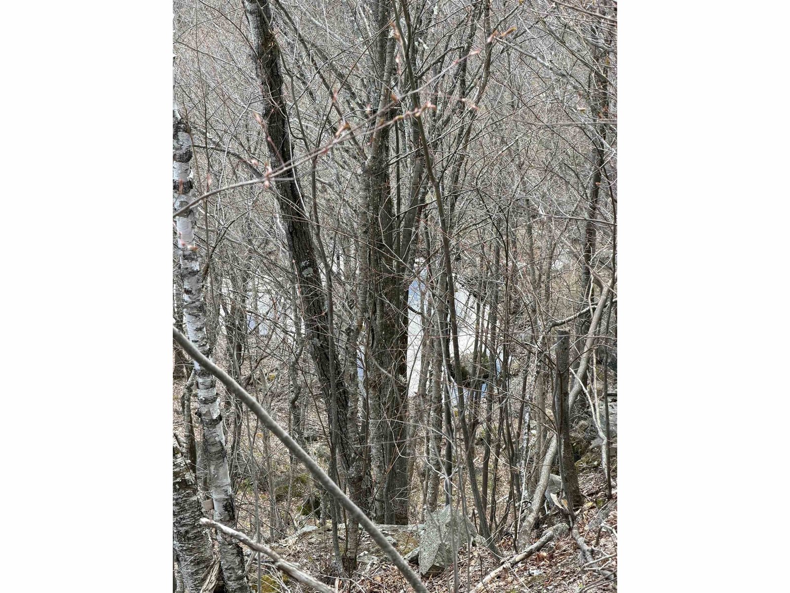 493 Wheeler Mountain Road