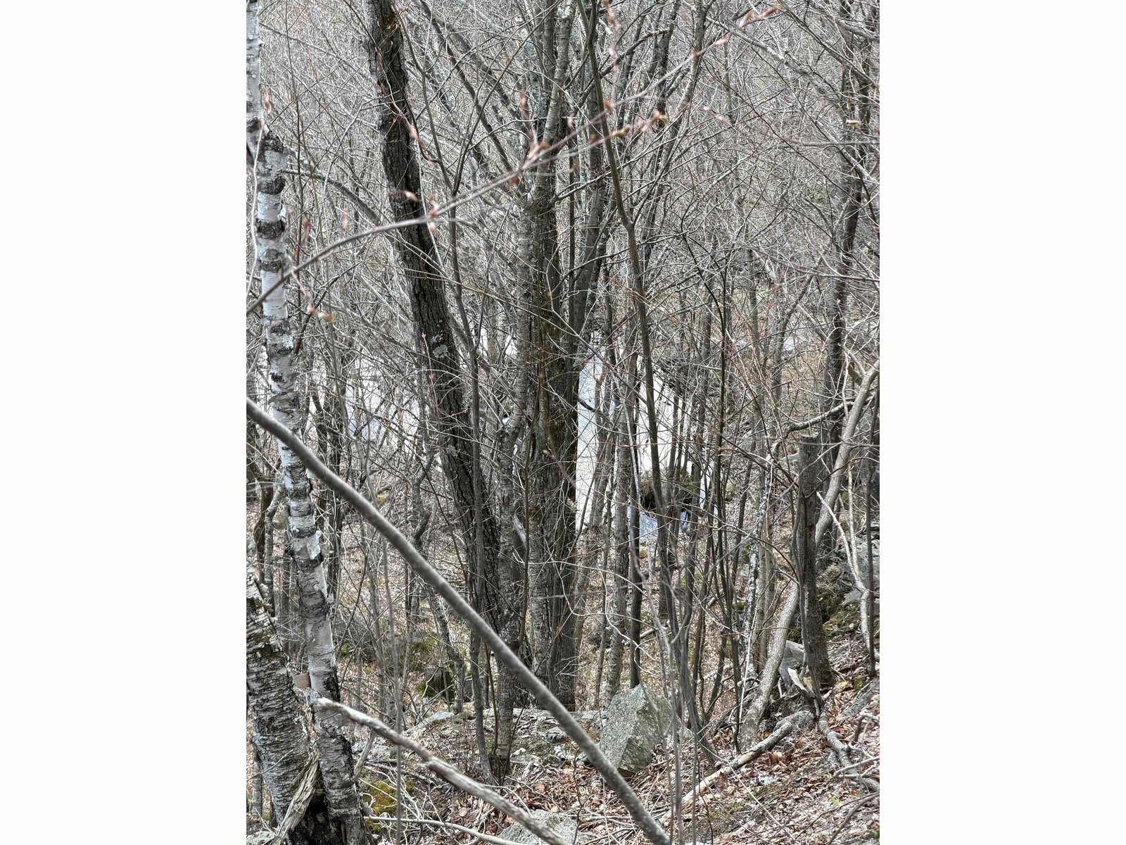 493 Wheeler Mountain Road