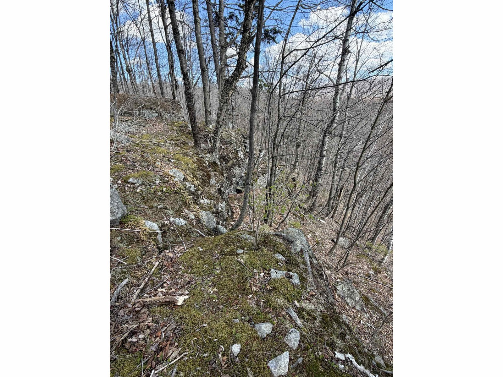 493 Wheeler Mountain Road