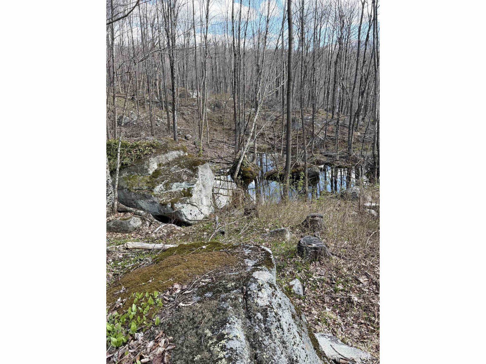 493 Wheeler Mountain Road