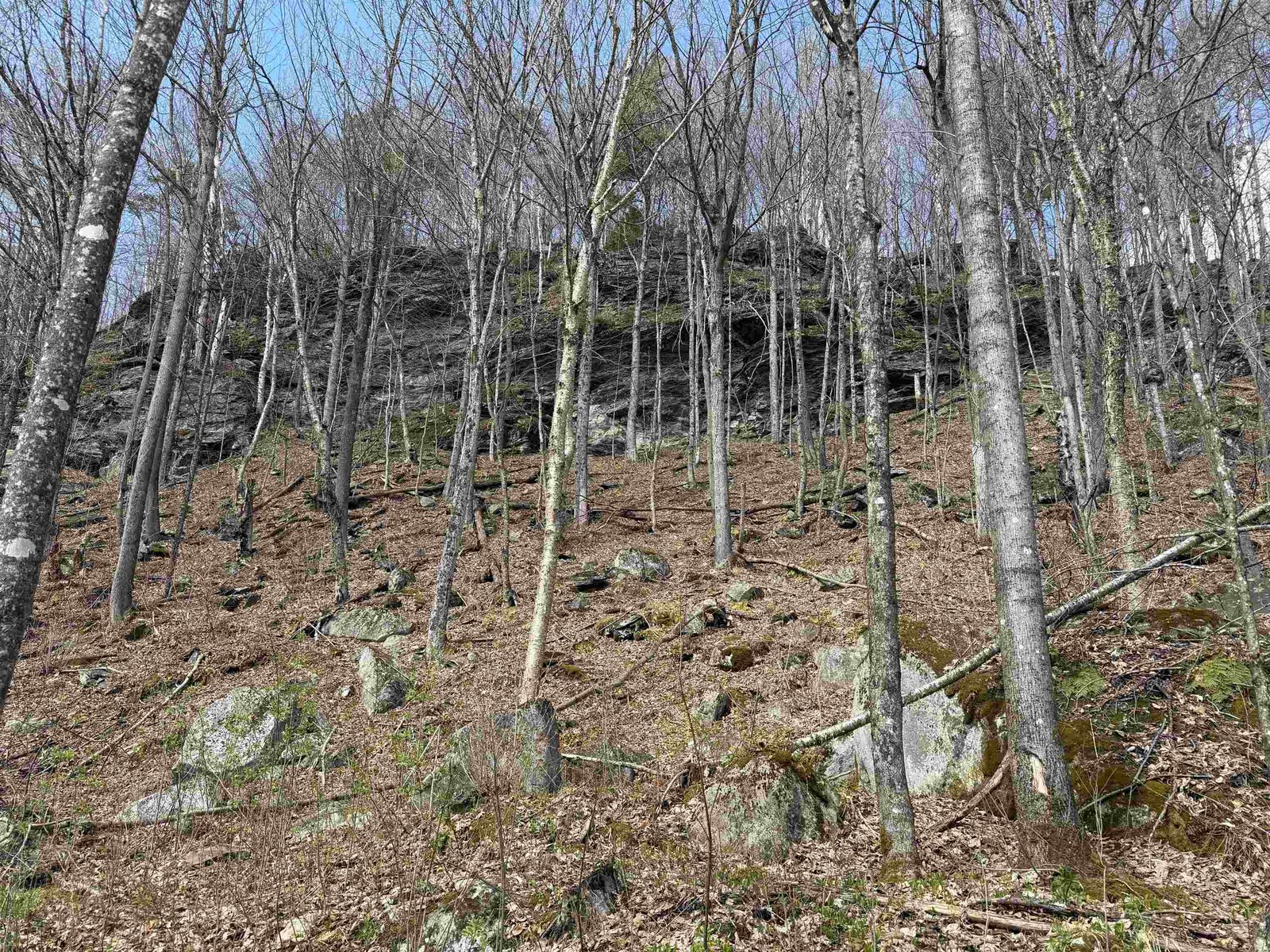 Rock wall