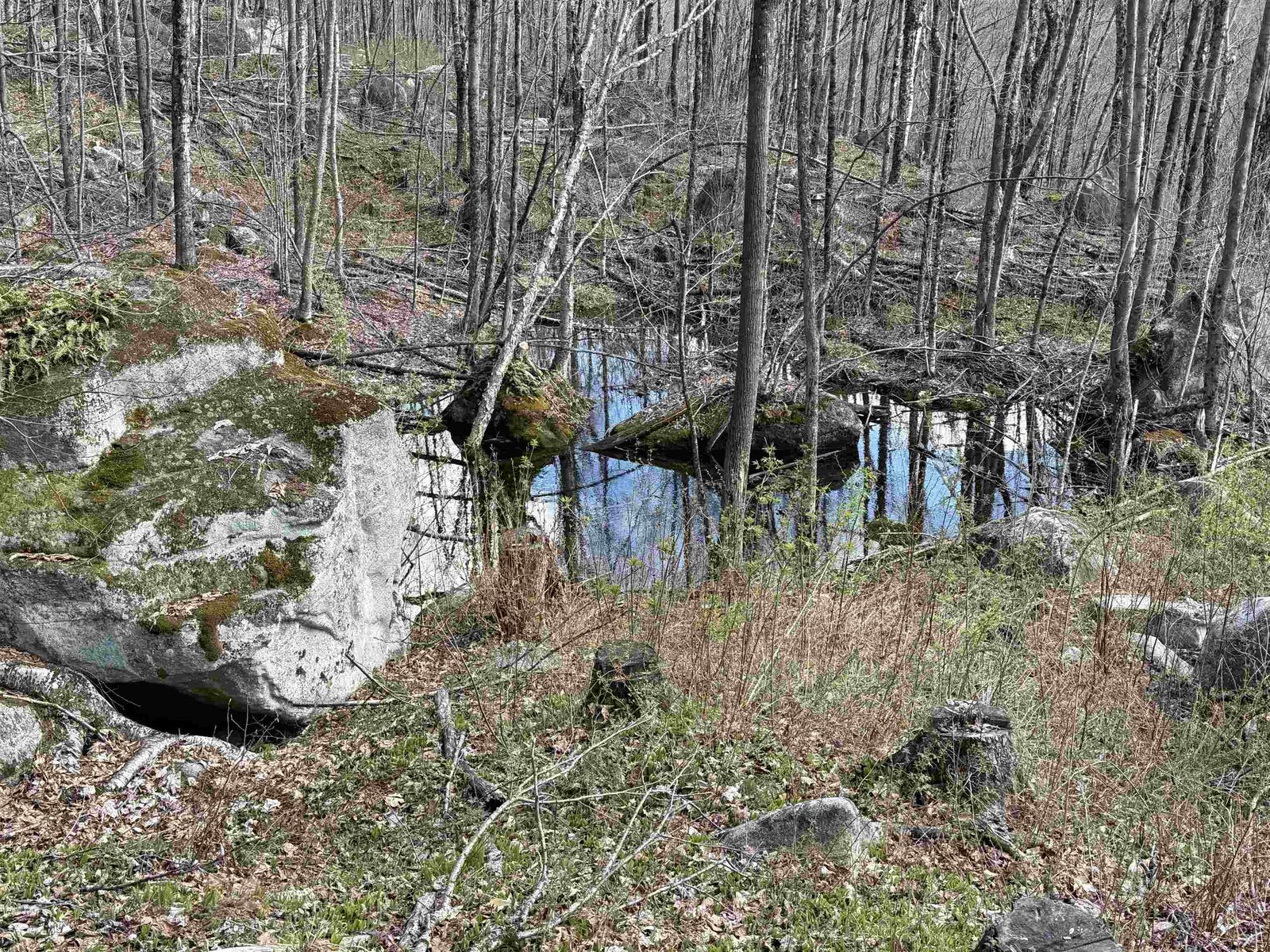 Water feature