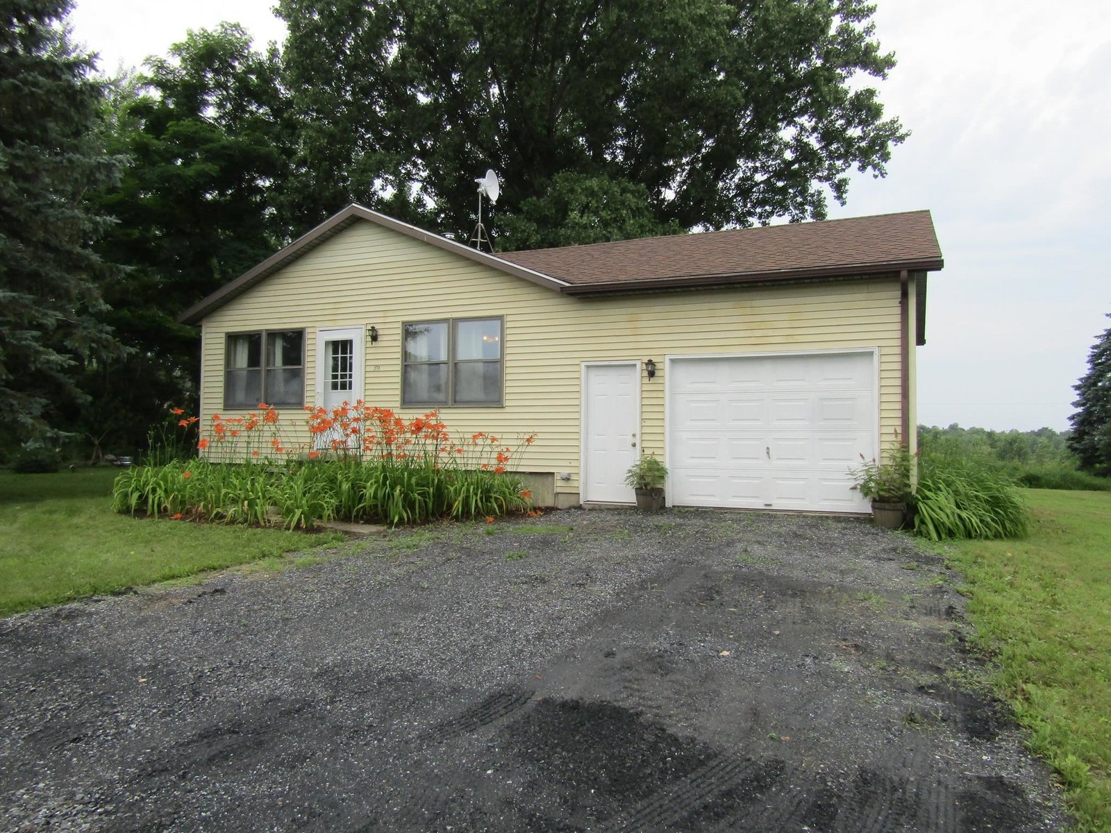 Theresa Ferrara, REALTOR, ABR, SRS, SRES