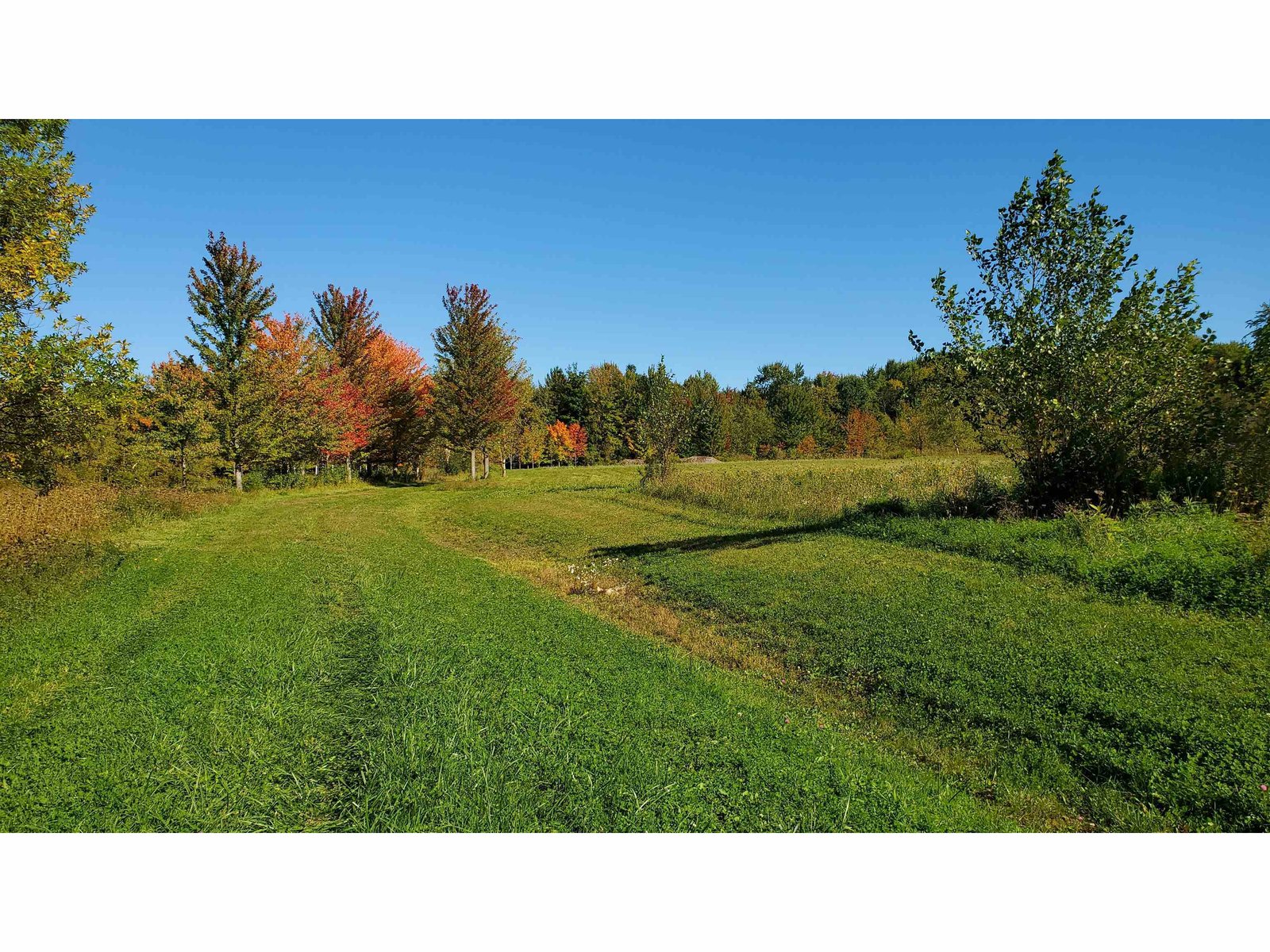 251 Tamarak Road Charlotte, Vermont Sold in 2023