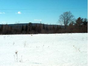 4A Hill Road