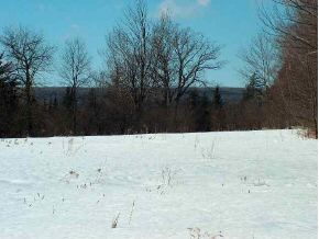 4B Hill Road