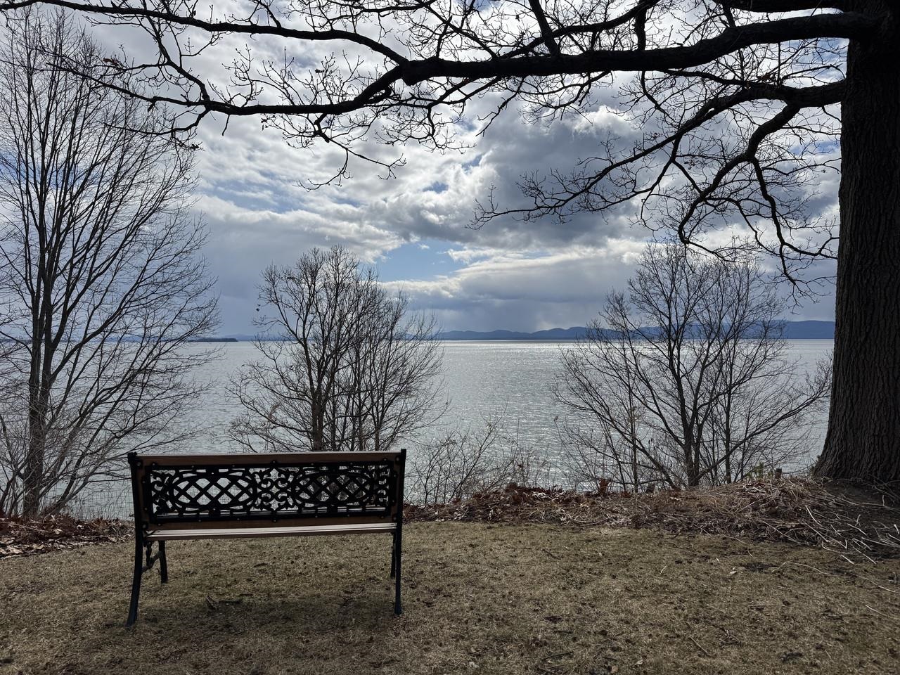 Lake View from Shared Land