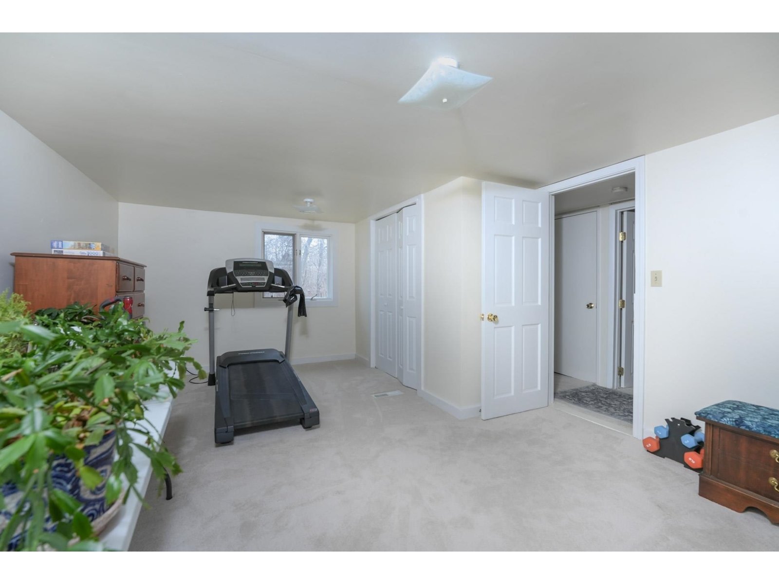 5 Lapointe Street