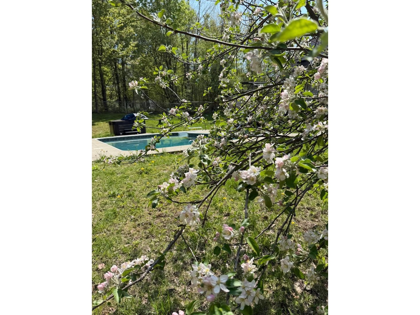 50 Gaudette Farm Road
