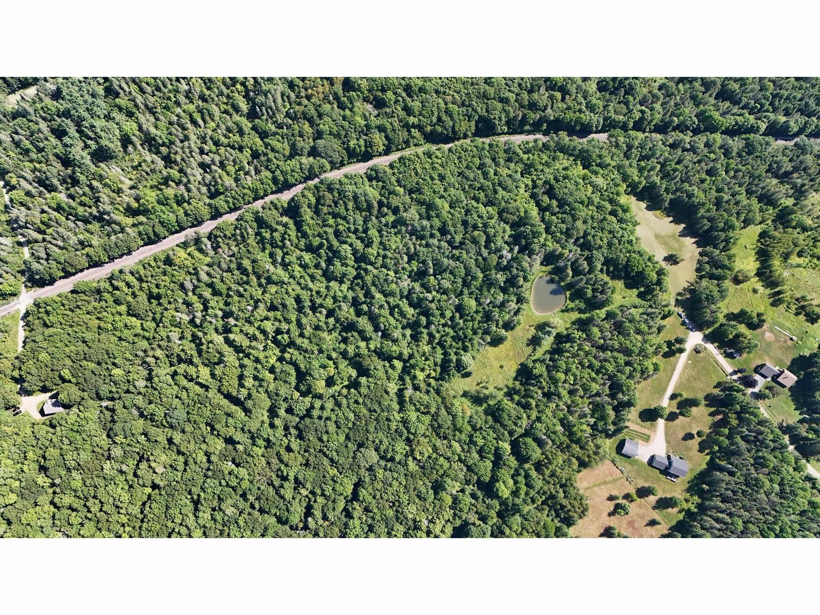 wooded lot