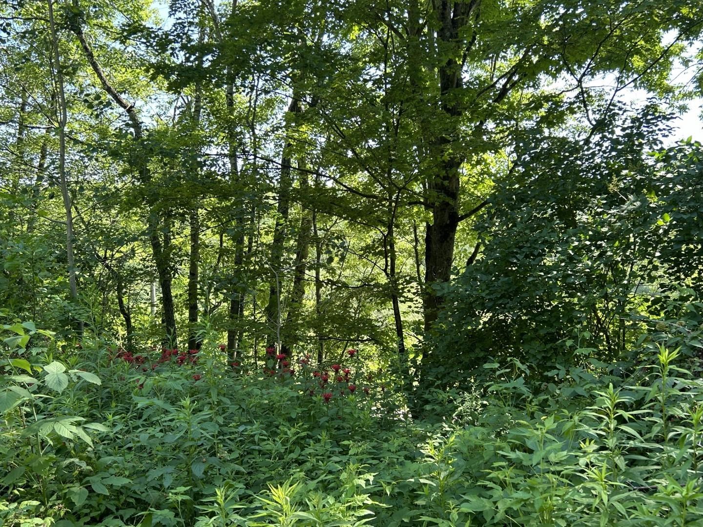 2871 Texas Hill Road, Hinesburg