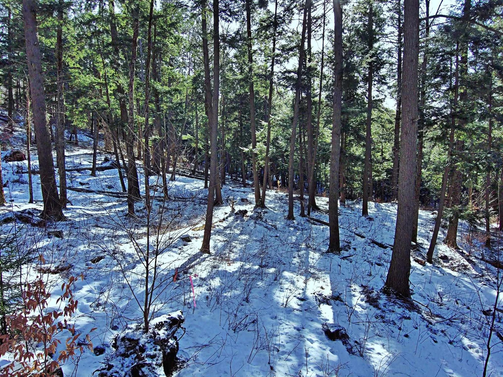 502 Fuller Hill Road, Warren