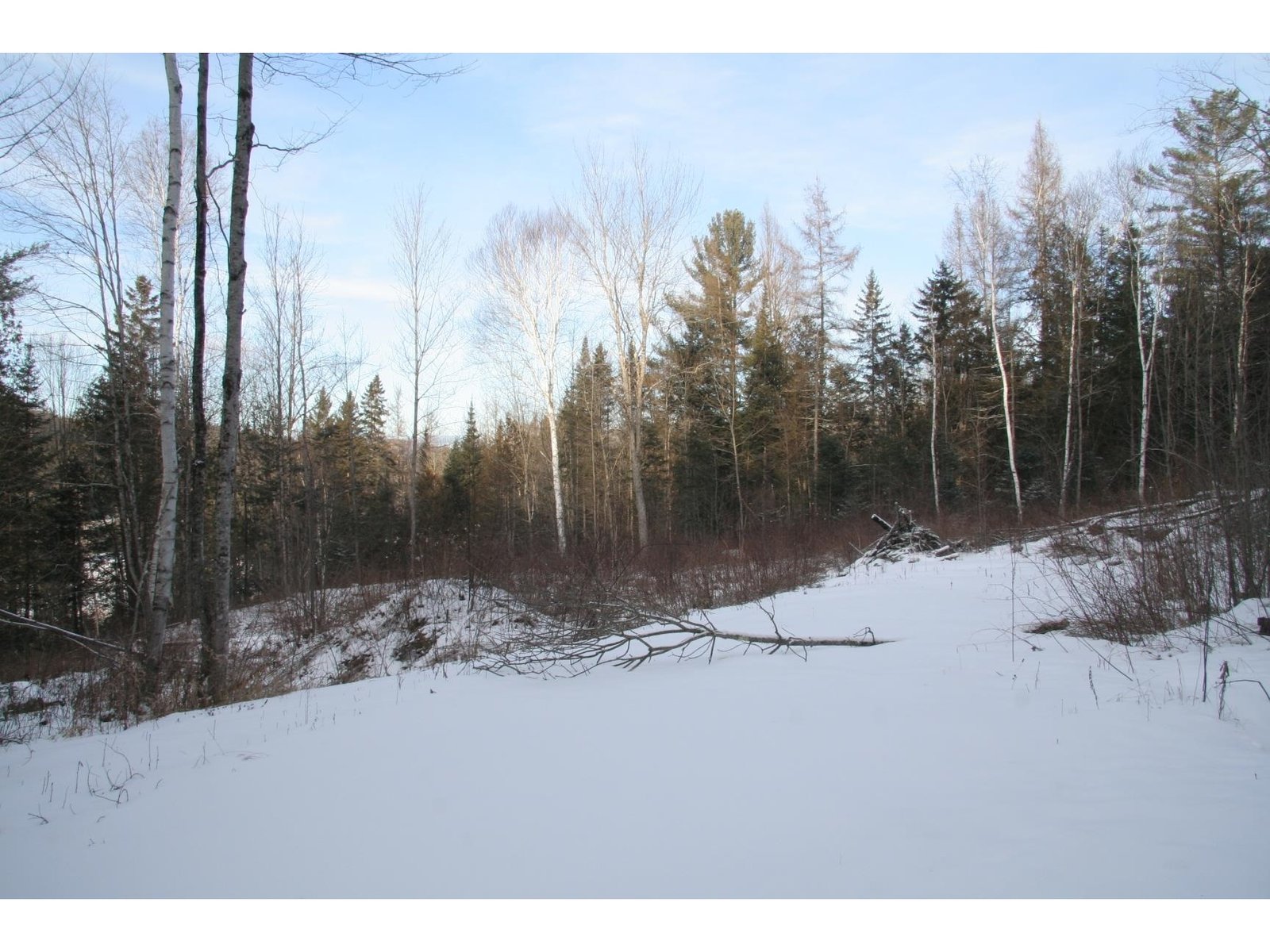 3288 Pinkham Road, Burke