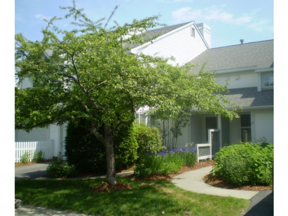 503 Brand Farm Drive, Unit 503