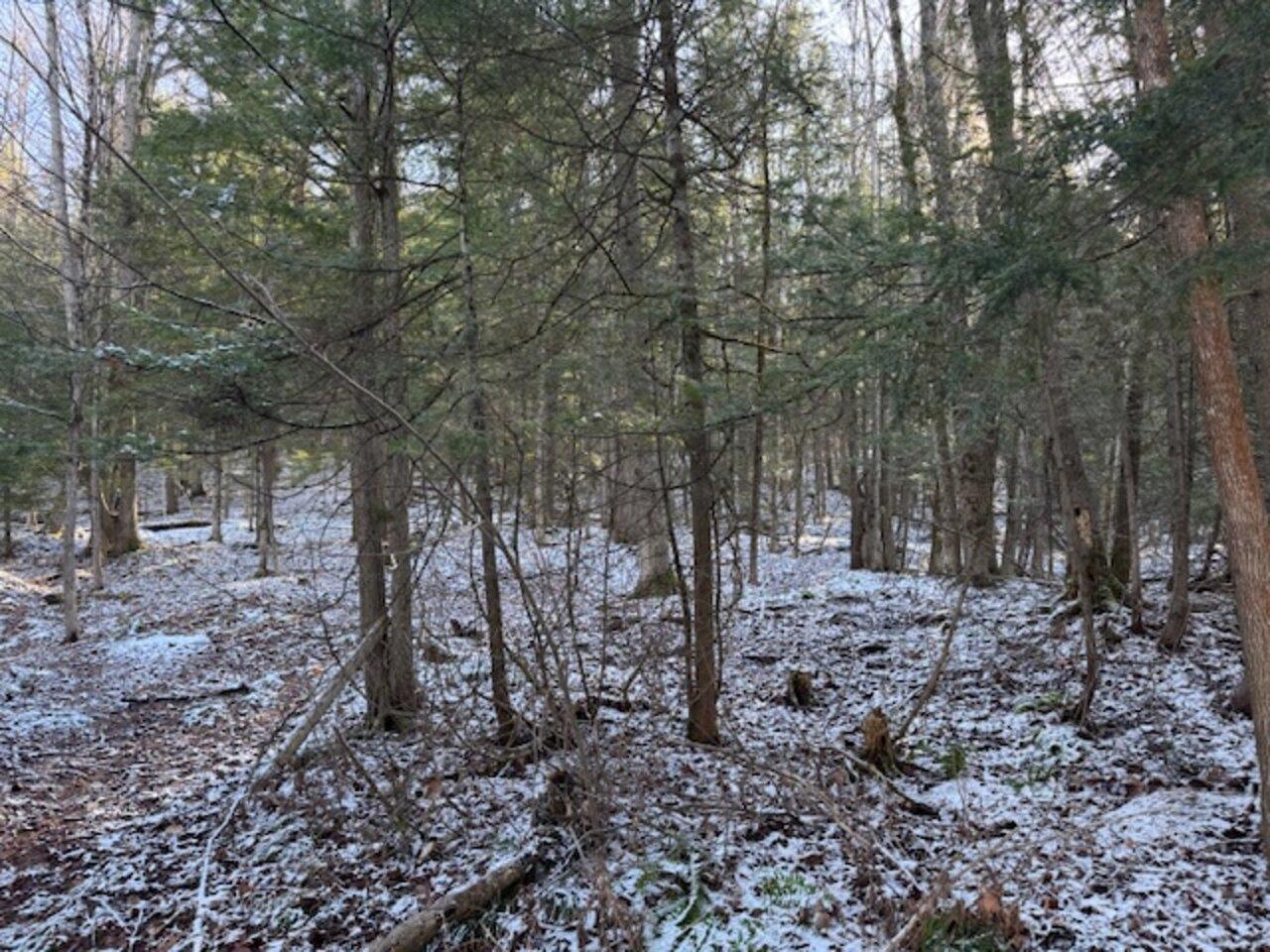 0 Cedar Street, Barre Town