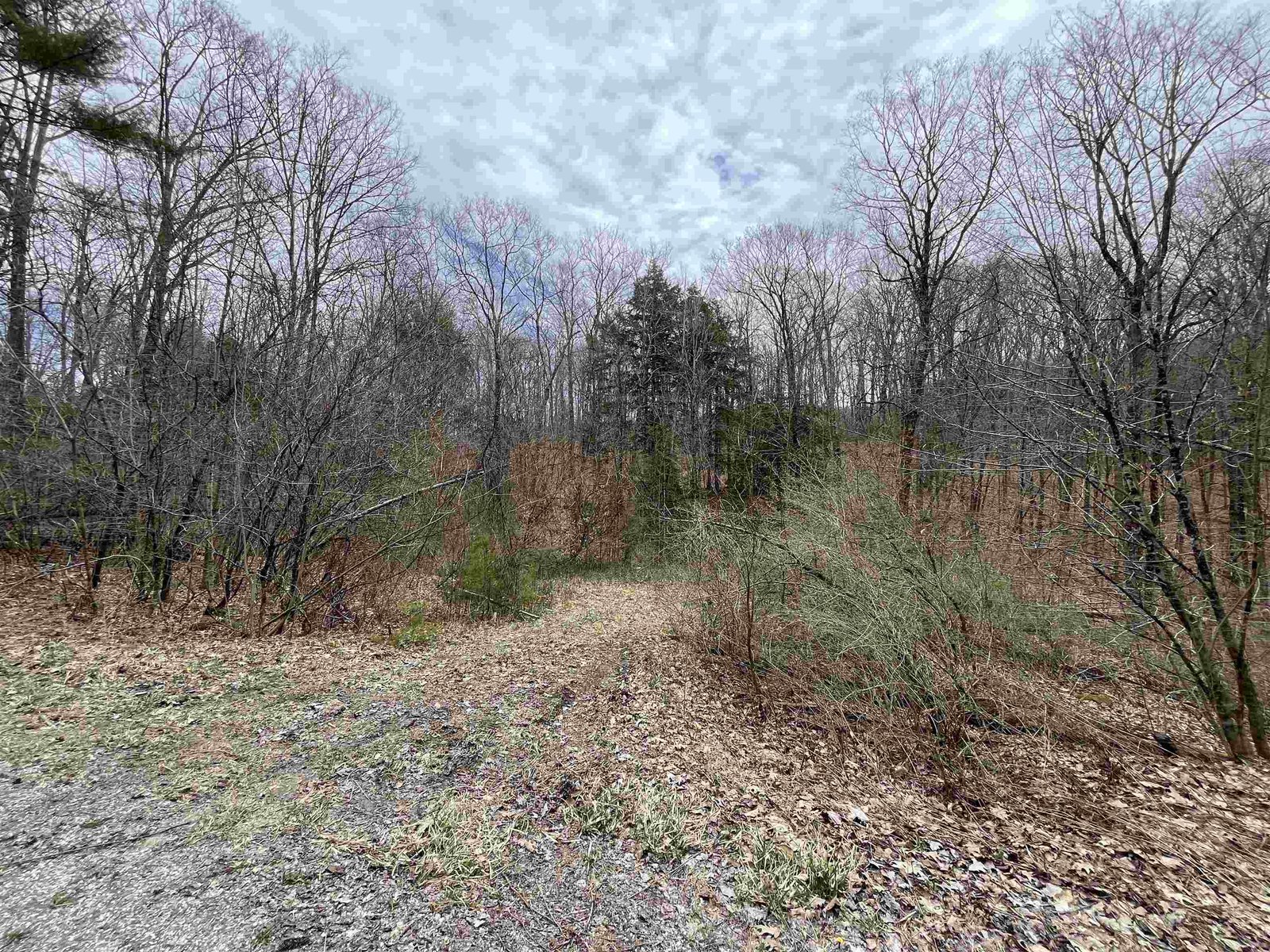 2699 Black Pond Road, Hubbardton