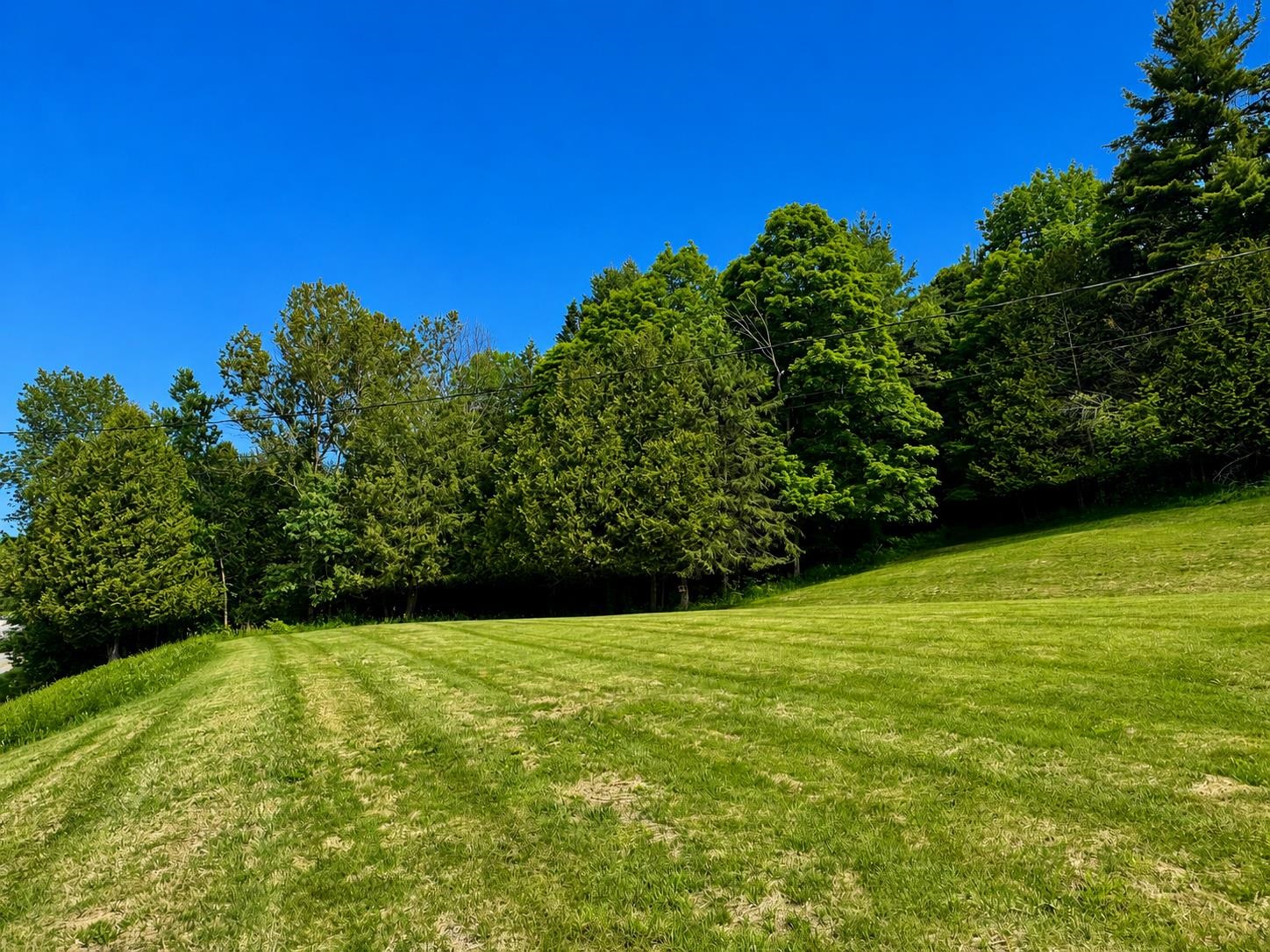 Side yard