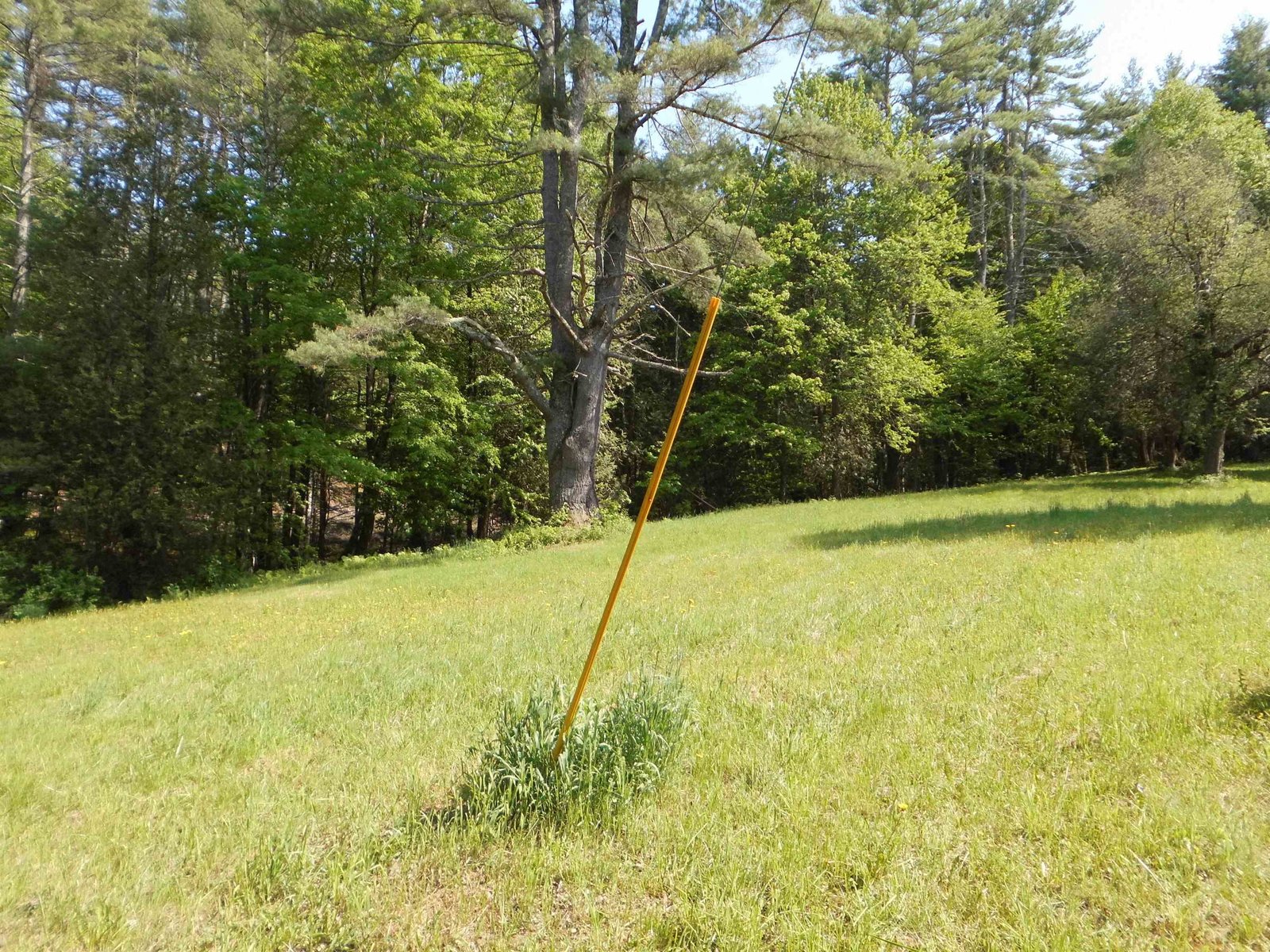 0090 Rosewood Lane, Castleton