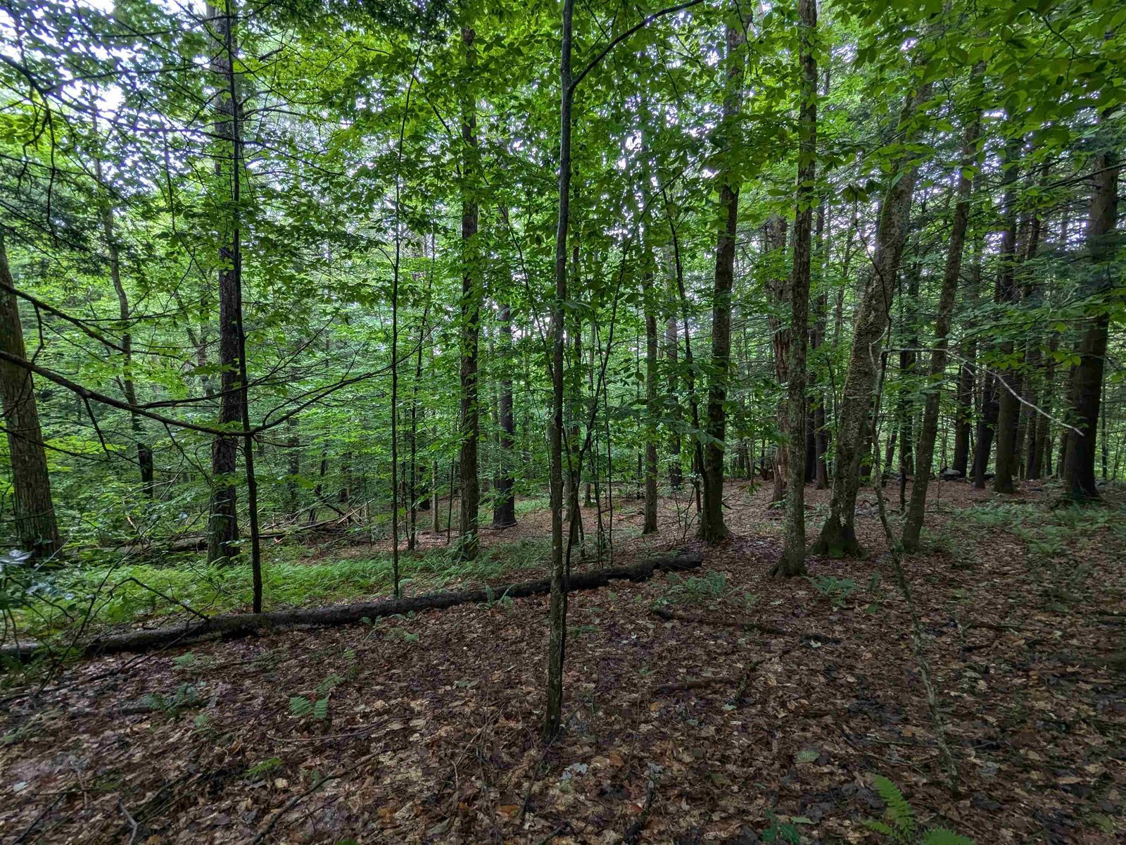 0 Dover Road, Newfane