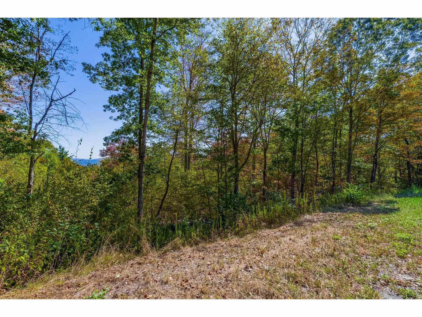5268 Willard Road, Hartford