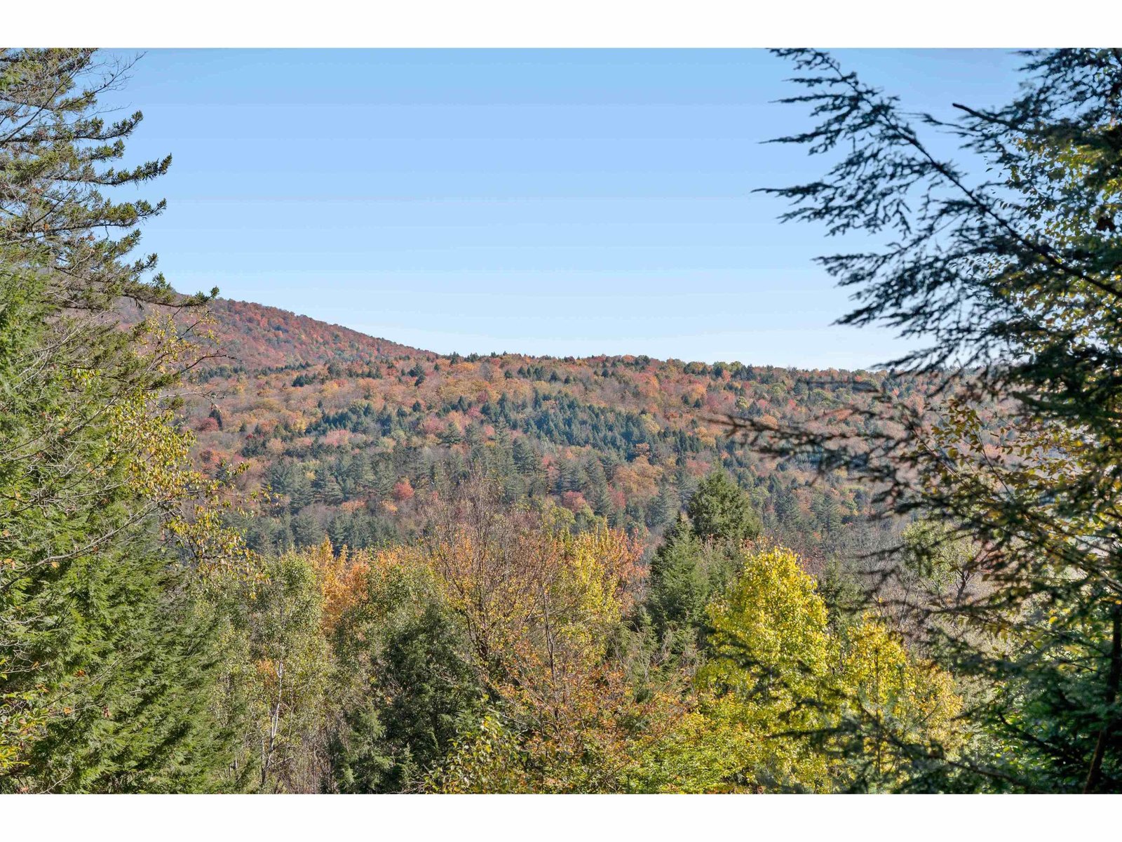442 VT Route 12, Middlesex