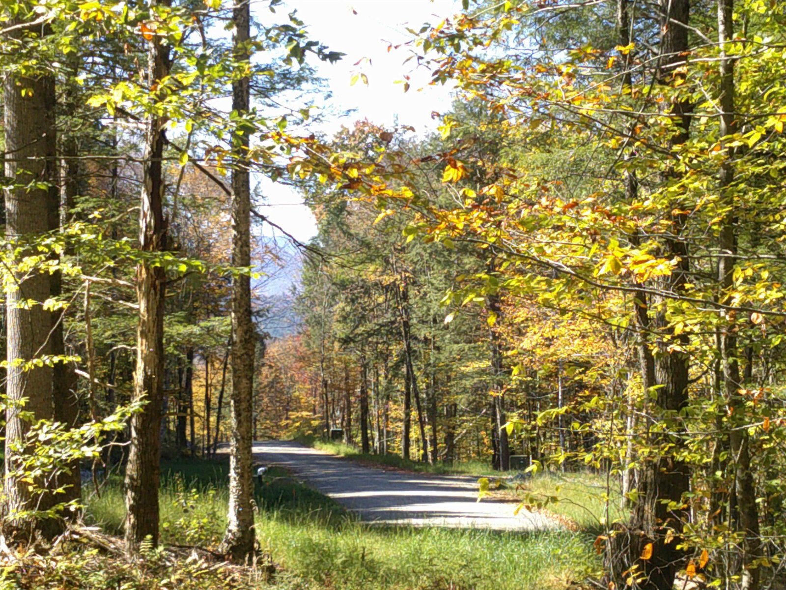 0 Dogwood Springs Road, Stowe