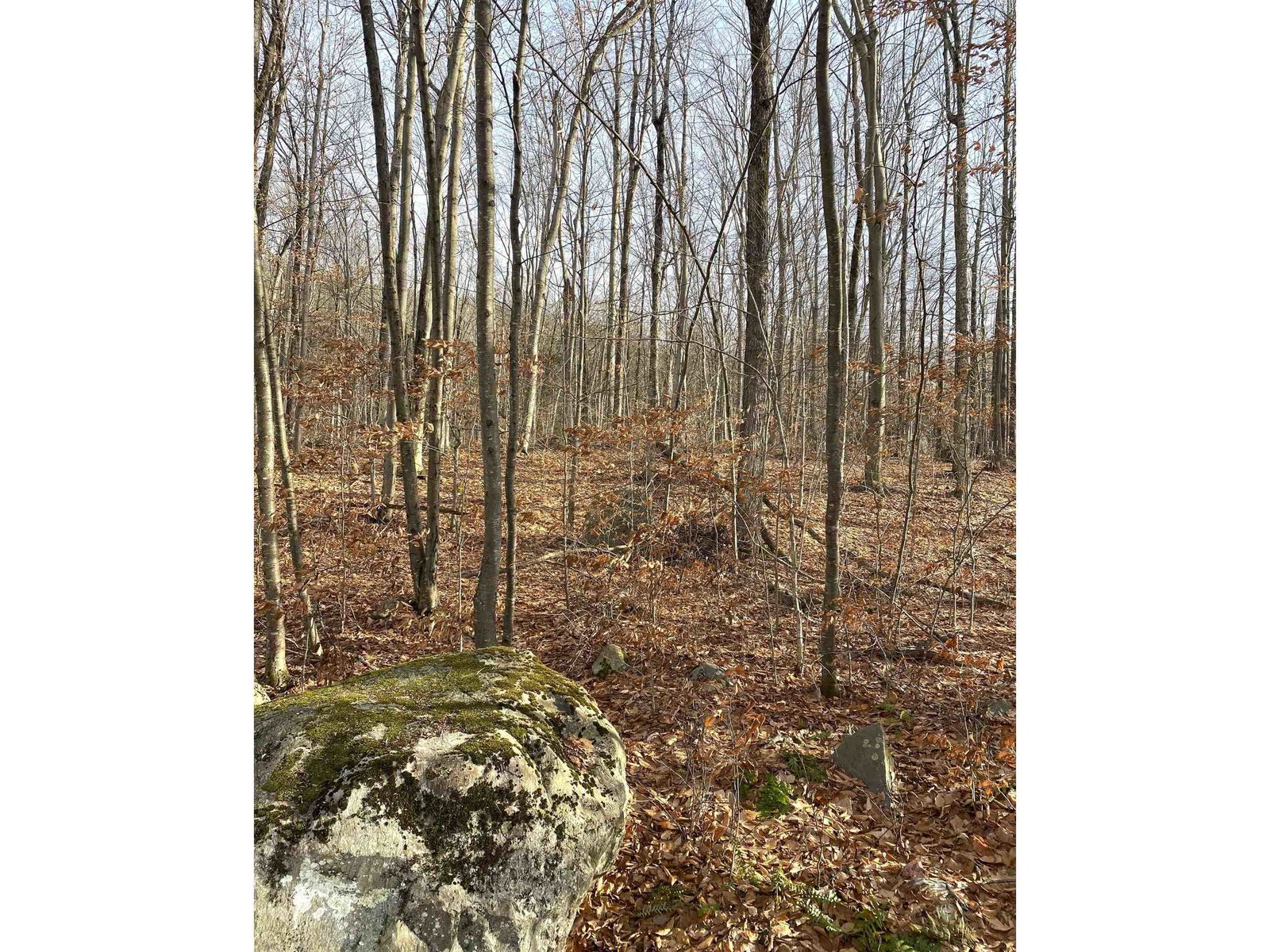 20 Forest Ridge Drive, Middlebury