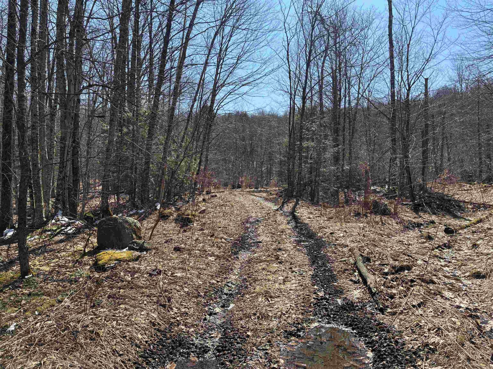 Lot 1 Marshall Road, Duxbury